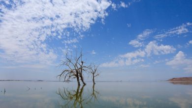 Photo de Révolution du lithium en Californie – course au gaz naturel de demain