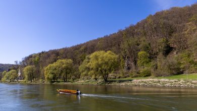 Photo de Action de natation dans le Danube – un chimiste lutte contre les déchets plastiques