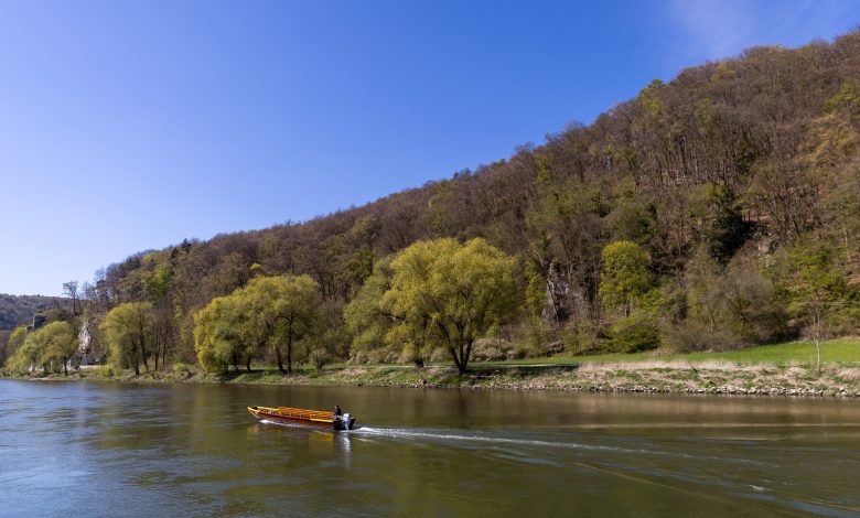 action-de-natation-dans-le-danube-–-un-chimiste-lutte-contre-les-dechets-plastiques